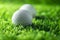 Closeup golf ball on grass