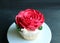 Closeup gorgeous cupcake decorated with red rose shaped whipped cream with copy space