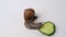 Closeup grape snail eating cucumber on the white background