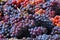Closeup of grapes