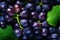 Closeup of Grapes with Deep Droplets and Banner of Purple Skin C