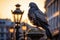 Closeup of gray pigeon bird on a city street. Generative AI