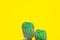 Closeup green Cactus on yellow background . Fashion pattern. Art Gallery Minimal