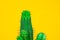 Closeup green Cactus on yellow background . Fashion pattern. Art Gallery Minimal