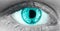 Closeup of green, coral human eye. Macro pupil retina human colse eye, eyeball. Female eyes with long eyelashes close up