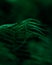 Closeup of a green fern leaf, beautiful nature