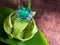 Closeup green gem ring with white diamond wear with petal of ylang-ylang flower