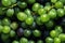 A closeup of green grapes with deep droplets of the product on a