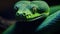 Closeup of a green python