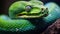 Closeup of a green python