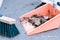 Closeup of a green street broom and dustpan used in cleaning a pavement