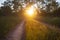 Closeup ground road in a forest at the sunset