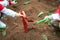 Closeup group of Asian school kids learn to plant tree seeds on sand outdoor