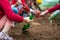 Closeup group of Asian school kids learn to plant tree seeds on sand outdoor