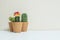 Closeup group of beautiful cactus in brown plastic pot for decorate on blurred white wooden desk and cream color wallpaper wall te