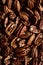 Closeup of group of fresh pecan nuts