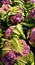 Closeup of a group of loose, bulk raw purple cabbage with green leaves, vertical background