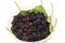 Closeup of group Mulberry berry with leaf in white cup isolated