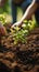 Closeup group planting trees in the garden