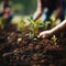 Closeup group planting trees in the garden