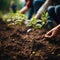 Closeup group planting trees in the garden