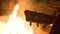 Closeup Guitar Neck Silhouette against Beautiful Bonfire