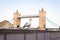 Closeup of a gull on a background of Tower Bridge in London, UK