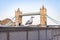 Closeup of a gull on a background of Tower Bridge in London, UK