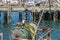 Closeup of gull sitting on roll of fishing nets with a piece of scavenged fish in its mouth with busy commercial dock with boats