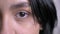 Closeup half-face portrait of of young attractive caucasian black haired female face with beautiful eye looking straight