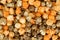 Closeup of halloween black licorice and orange popcorn