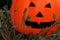 Closeup Halloween pumpkin head jack  on wooden background - interior party festival