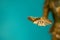 Closeup of the hand of a bronze statue holding an open book. Sculpture closeup. Small depth of field