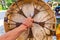 Closeup of hand holding a colourful drum