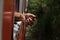 Closeup of the hand of a person with a golden watch around the wrist in a train under the sunlight