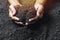 Closeup hand of person holding abundance soil for agriculture or planting peach concept