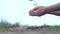 Closeup hand of person holding abundance soil with young plant in hand for agriculture or planting basil nature. save world concep