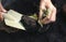 Closeup hand of person holding abundance soil with young plant i