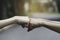 Closeup hand of person team work fist bump in nature background