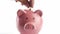 closeup hand putting coin into piggy bank on white background front view