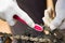 Closeup hand wearing white glove holding toothbrush rubbing on metal bicycle chain, mechanical repair concept