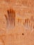 Closeup of handprint formations etched in sandstone at Indian Cave, Kodachrome Basin Utah State Park