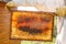 Closeup hands of beekeeper hold wooden frame with honeycomb. Collect honey. Beekeeping concept