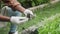 Closeup hands of children holding soil for checking and pouring while plants tree and agriculture field.