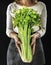 Closeup of hands holding fresh organic celery