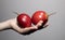 Closeup Hands Holding Fresh Tamarillo, Tropical Exotic Fruit On Gray Background. Tree