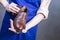 Closeup of Hands of Shoes Cleaner with Cloth For Brown Leather Penny Loafers Footwear While Cleaning Process