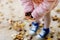 Closeup of hands of toddler girl picking chestnuts in a park on autumn day. Child having fun with searching chestnut and