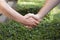 Closeup of handshake with nature background