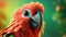 Closeup Happy Beautiful Parrot